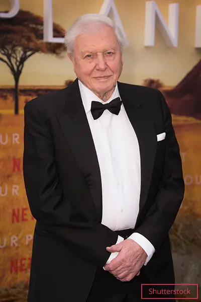 Attenborough attending the premiere of A Life on Our Planet, described as a 'love letter to Earth'