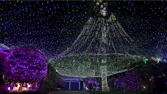 Most Christmas Lights on a Property main