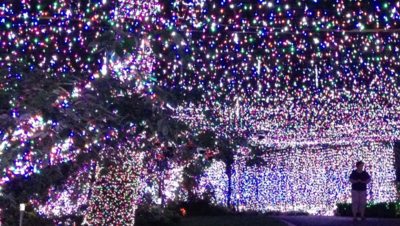 xmas lights 2013 main