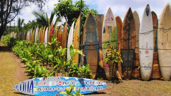 Hawaii surfboards article main