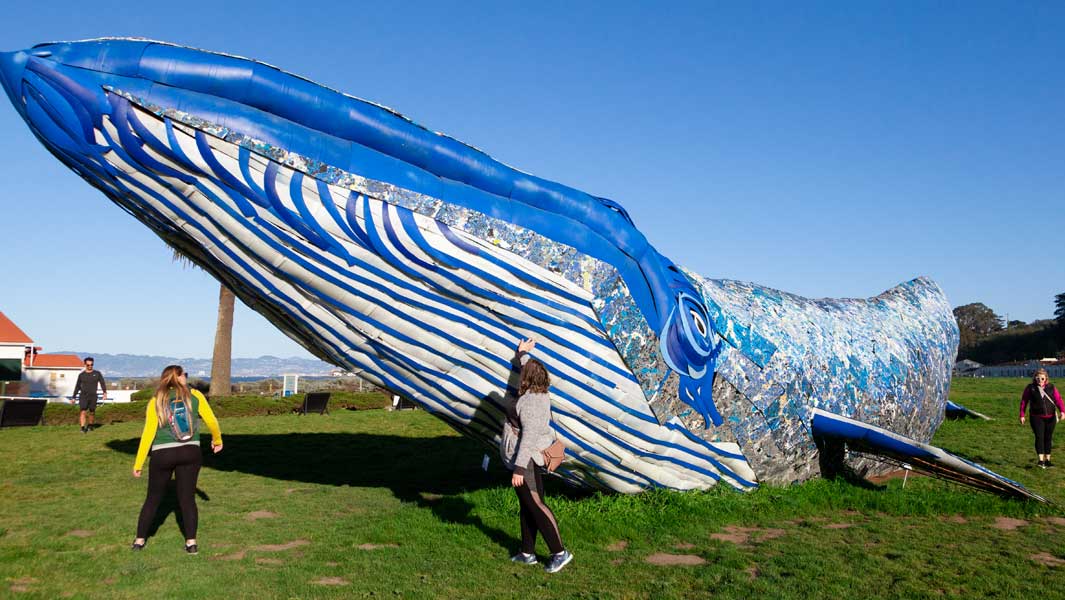 Recycled plastic whale