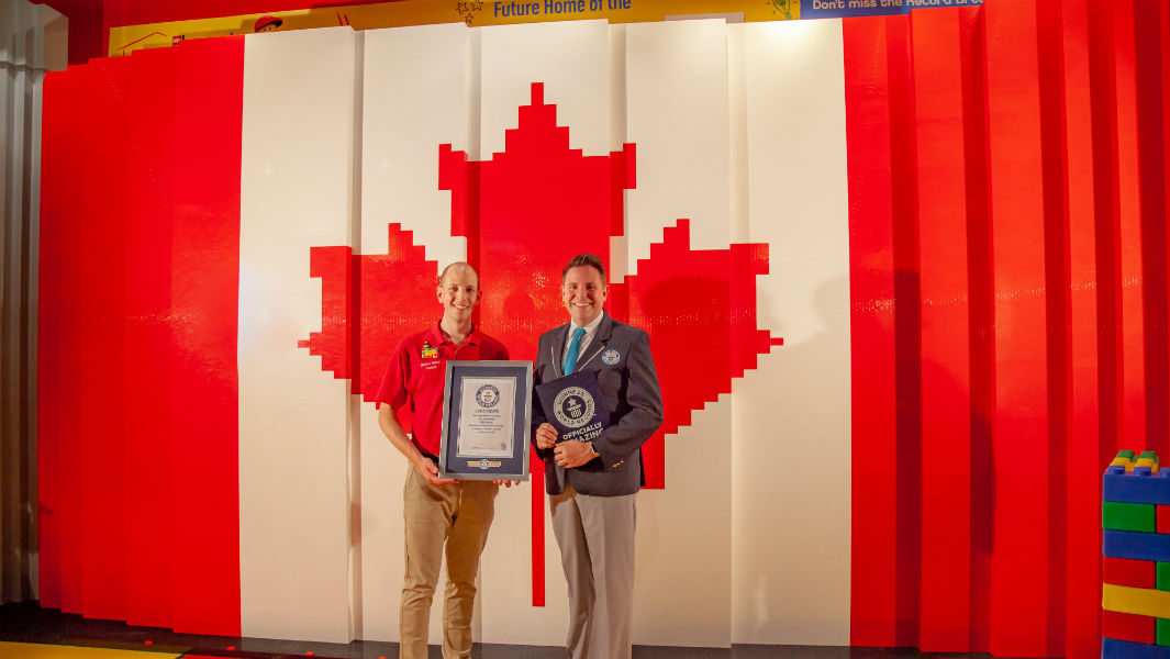 Largest LEGO flag