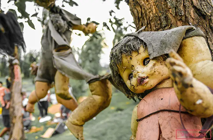 A dirty doll hung up on a tree trunk with disembodied limbs in the background