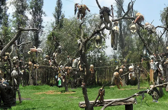 A large number of dolls hung up from trees and a clothes line