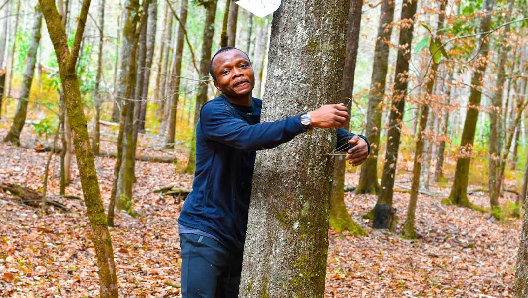 Ghanaian activist hugs over 1,100 trees in an hour to set record