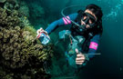 Volunteer divers help set longest underwater clean-up record in Malaysia