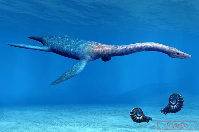 Attenborosaurus, an extinct genus of Jurassic marine reptile named after Sir David