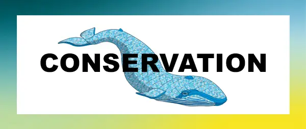 Conservation banner