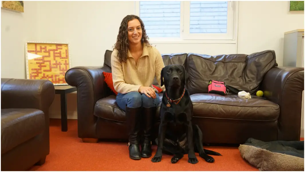 Meet the record-breaking dogs that can smell COVID-19, cancer and PoTS