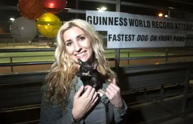 Fastest-5-metres-on-front-paws-by-a-dog_Konjo_guinness_world_records_attempt_photo