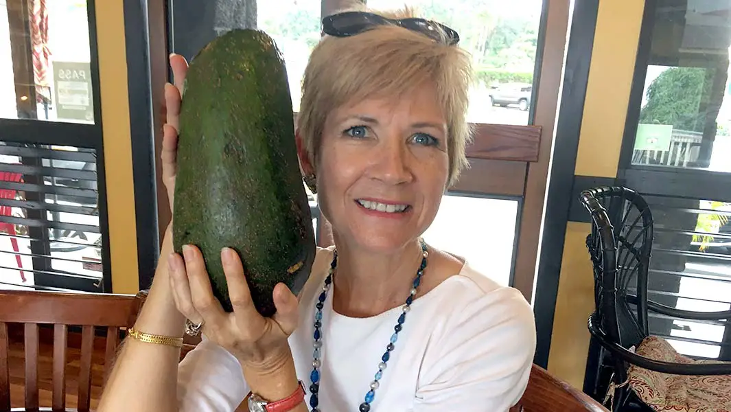 Hawaii resident claims world record after finding avocado the size of her head