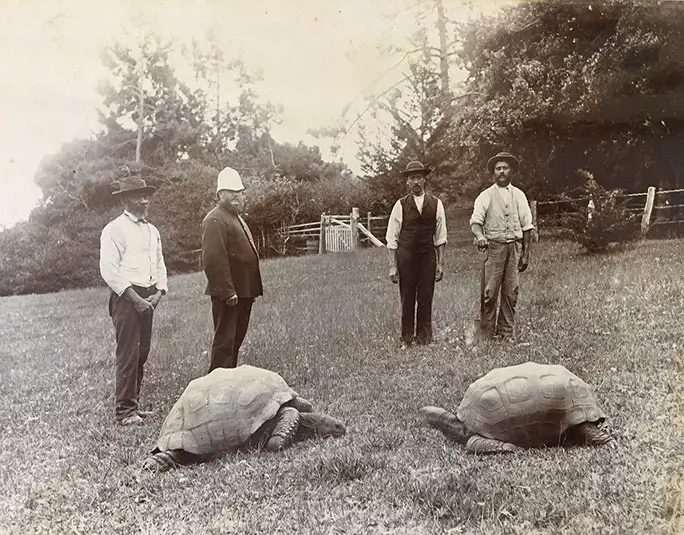 A photo dated to c. 1882–86 taken in the grounds of Plantation on St Helena – shortly after Jonathan arrived on the island (Jonathan is shown on the left)