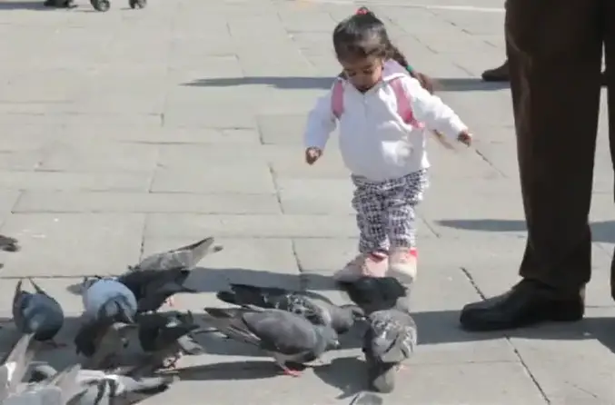 Jyoti with pigeons