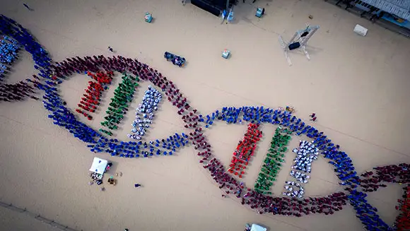 Medical students in Bulgaria break record for largest human DNA helix