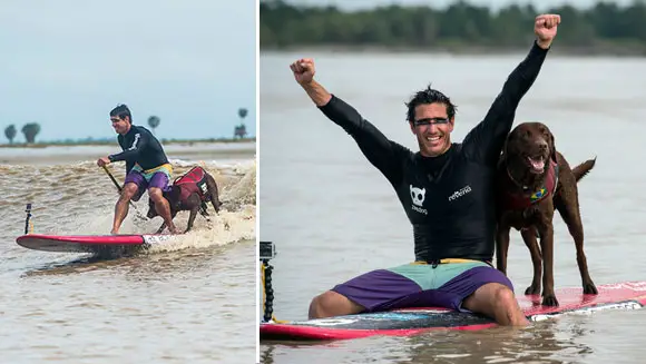 Video: Human and dog duo break surfing record in Brazil