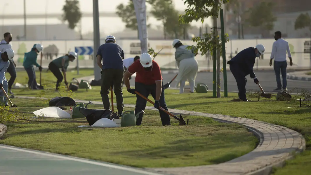 One million trees planted simultaneously in Qatar breaking record 