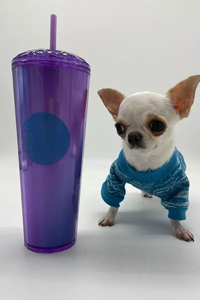Pearl stood next to a cup