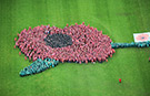 Students set largest human flower record to commemorate 100th anniversary of WW1