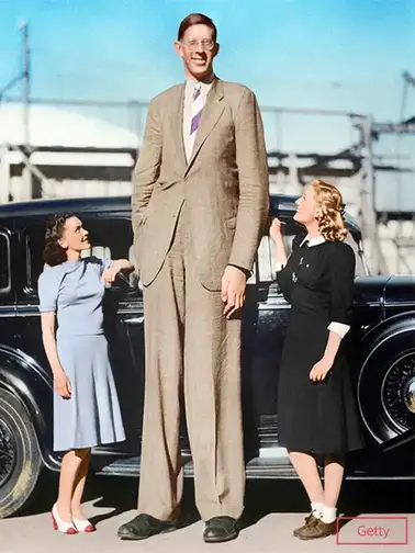 Who is the tallest person in the world