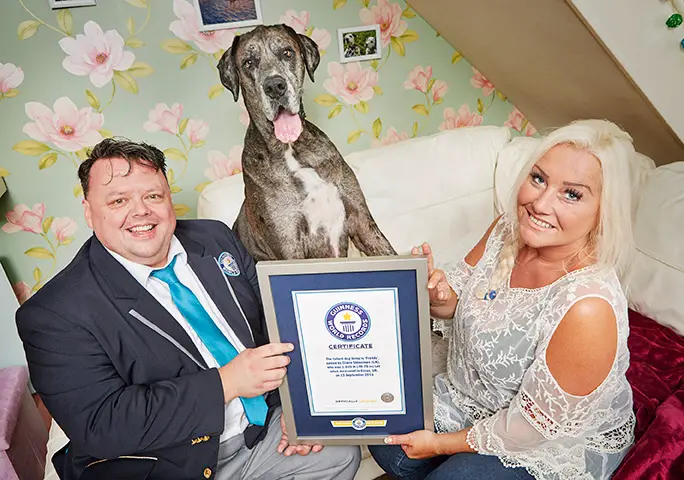 Tallest dog Freddy at home certificate from Guinness World Records