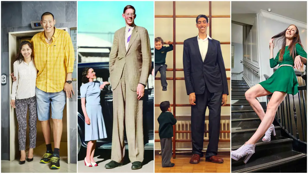 tallest man in the world, world's tallest man, tallest woman, world...