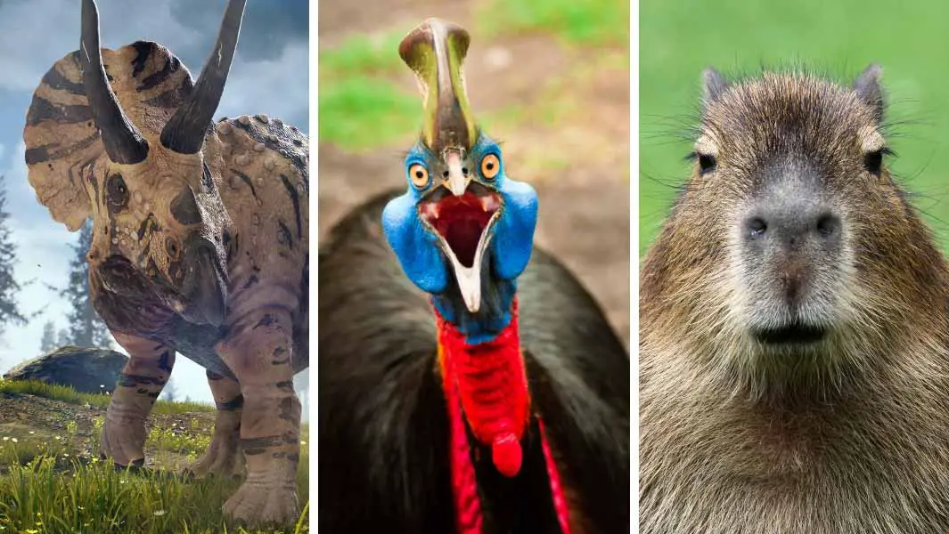 5 Incredible Animals In Guinness World Records New Book Wild Things Guinness World Records