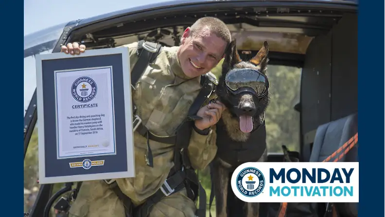 Monday Motivation: Arrow - the dog that skydives to save wildlife