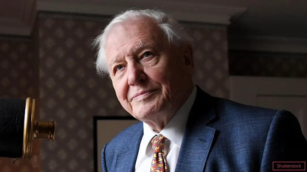 Sir David Attenborough breaks Instagram record for fastest time to reach  one million followers | Guinness World Records