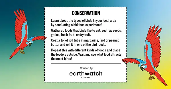 Conservation play activities banner