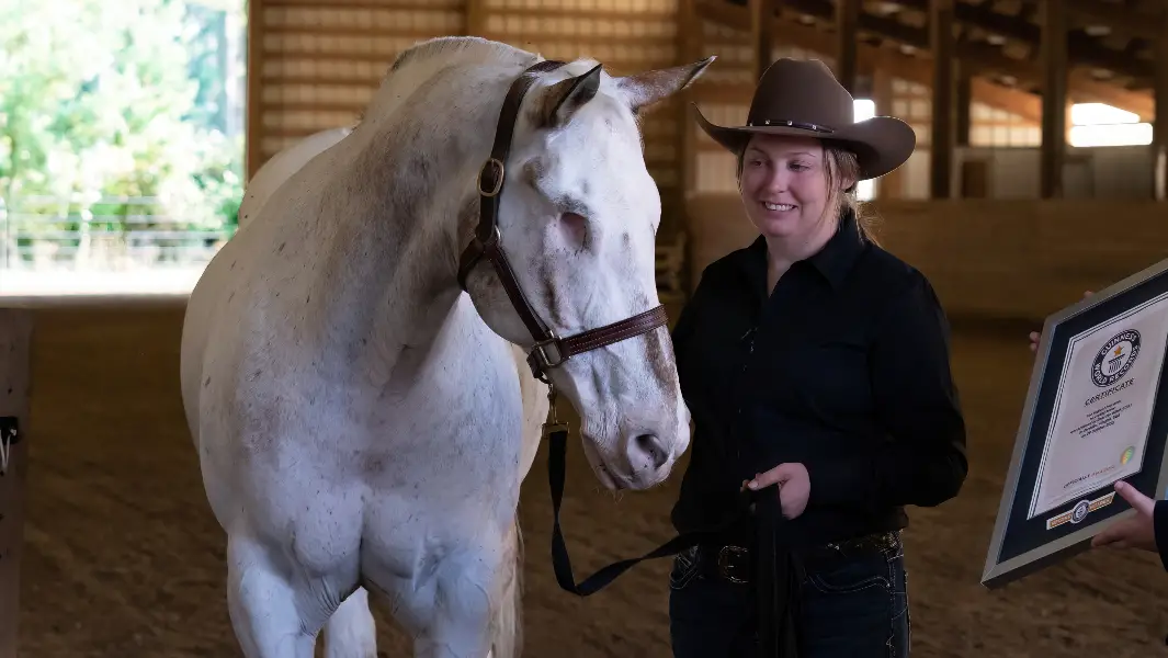 Endo the Blind: Horse without eyes achieves three records