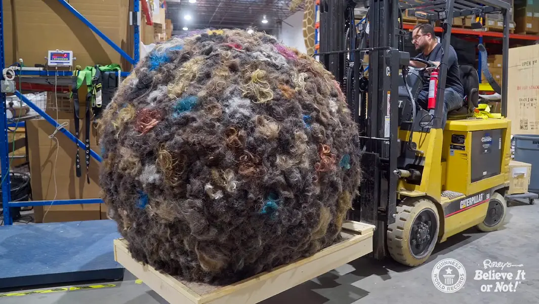 Ball of human hair weighing 225 lbs breaks record 