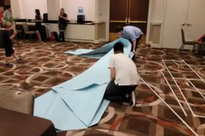 image-of-largest-origami-swan-being-constructed.jpg