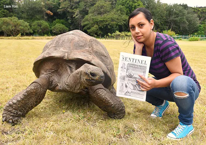 Introducing Jonathan, the world's oldest animal on land at 187 years old |  Guinness World Records