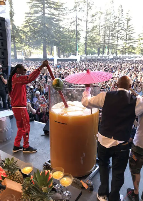Snoop Dogg Mixes World's Largest Gin and Juice - Grasscity ...