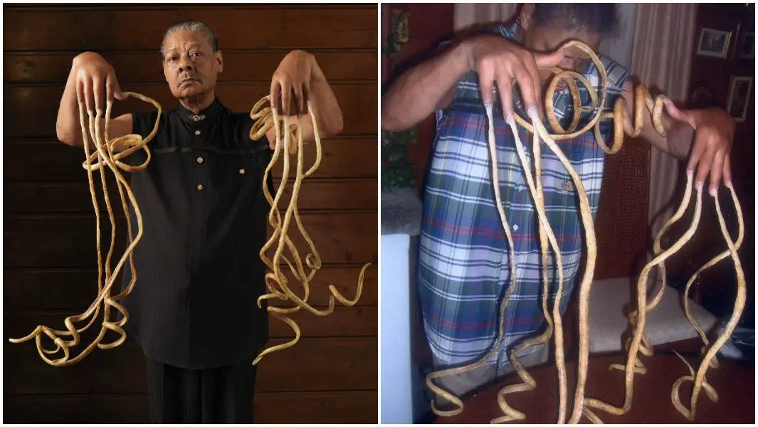 Woman with World's Longest Fingernails: See How She Texts with 20-Foot Nails  [PHOTOS] | IBTimes