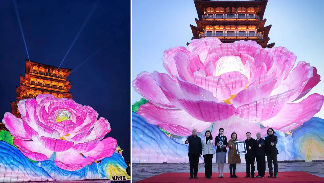 Stunning peony lantern as tall as an 8-storey building breaks record in  China | Guinness World Records