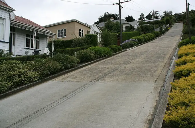 <em>Baldwin Street, New Zealand</em>