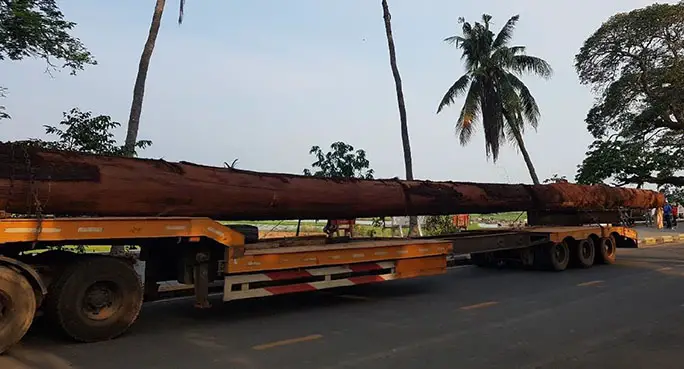 the-tree-trunk-being-driven-along-the-road-by-truck