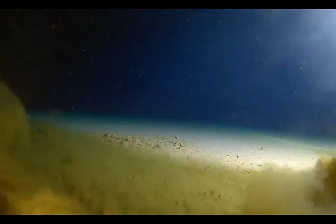 Touchdown at the bottom of the Challenger Deep in the Mariana Trench