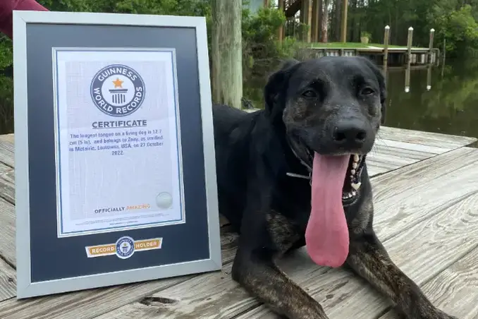 zoey-posing-with-her-gwr-certificate.jpg