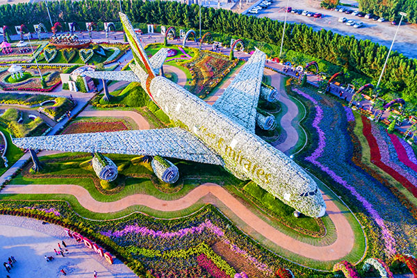 airplane-in-largest-flower-arrangement