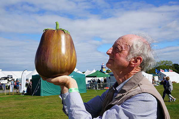 Record broken ice with blue background