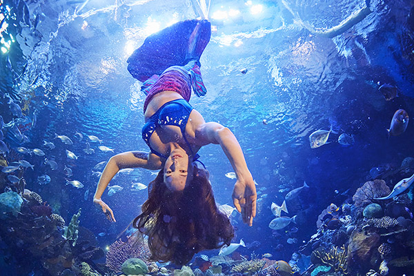 mermaid-spinning-upside-down-in-the-water