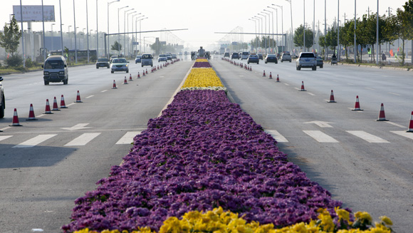 130005-longest carpet of flowers main