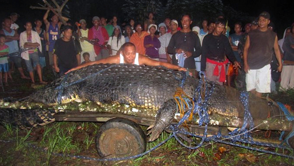 Largest Croc Caught main