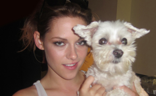 Kristen Stewart_Lucky main