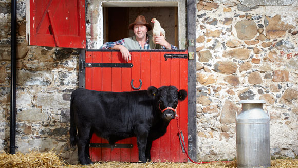 Archie---Smallest-Bull-main
