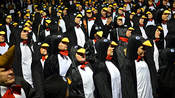 Penguins-main