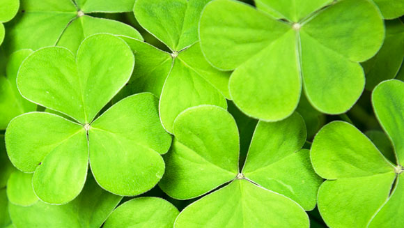 St-Patricks-Day-main