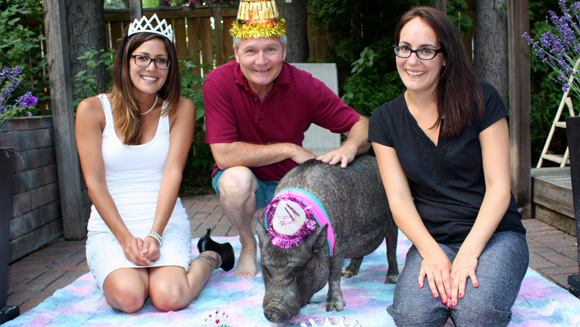 Pig story article main